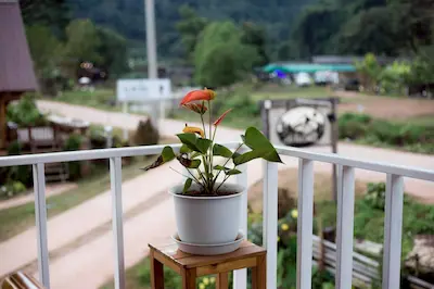 บ้านริมว้า 2